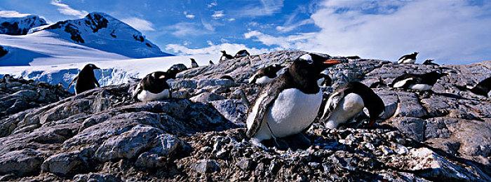 恐怖游戏《1406公寓》Steam页面上线 2023年发售