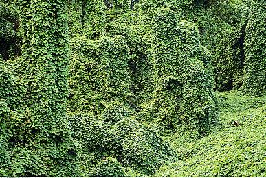 《EXFIL》12月12日Steam抢先体验 物理系战场FPS